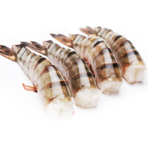 Scampi ongep. zonder kop